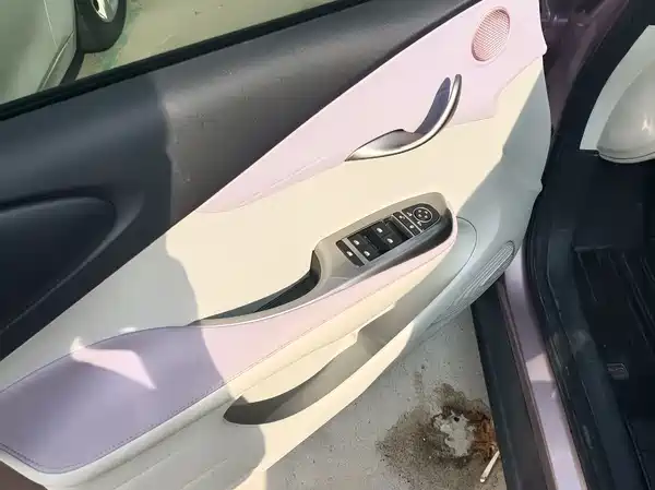 BYD Dolphin 2022