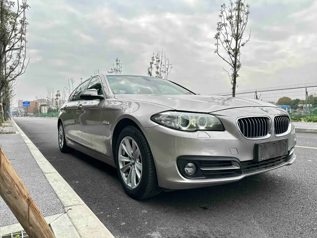 BMW 5 Series 2014 — фото 3