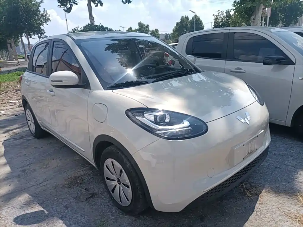 Wuling Bingo 2024
