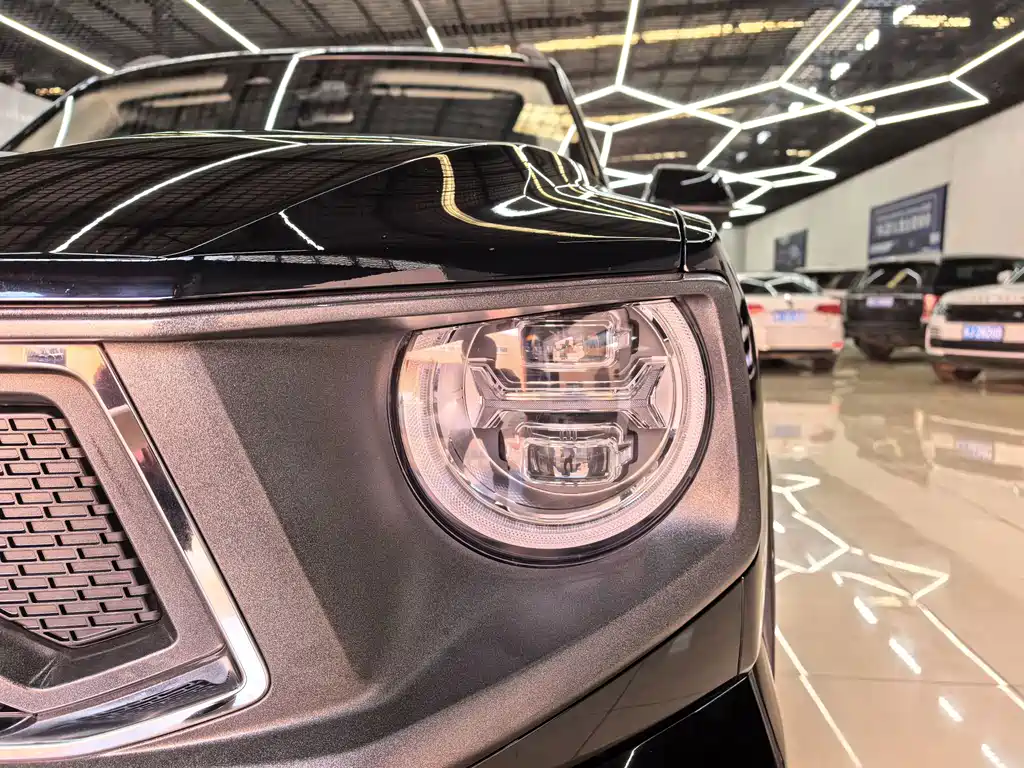 Haval Big Dog PLUS New Energy 2024 — фото 9