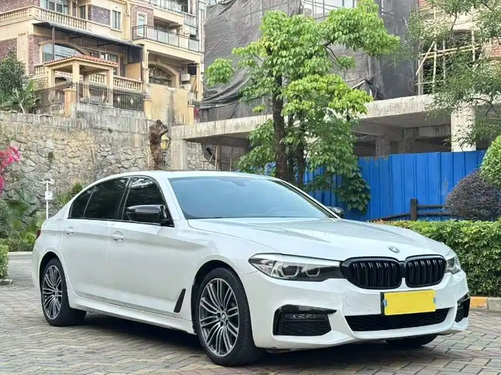 BMW 5 Series 2019