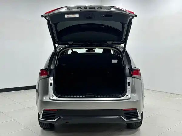 Lexus NX 2021