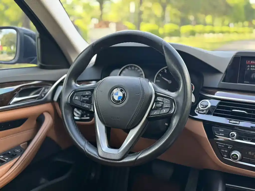 BMW 5 Series 2017 — фото 10
