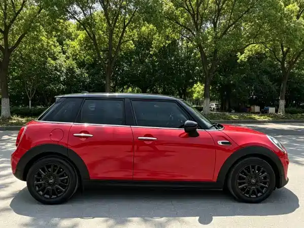 MINI MINI 2020