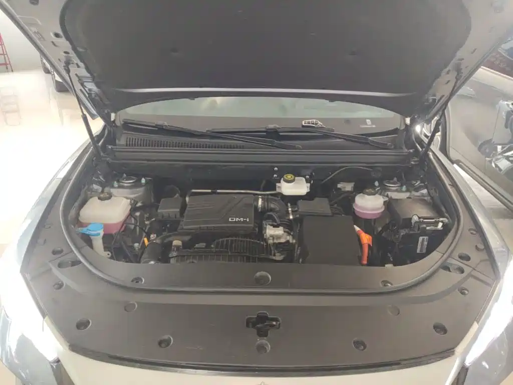BYD Song Pro New Energy 2025 — фото 20