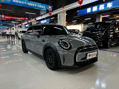 MINI MINI 2021