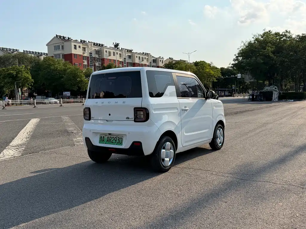 Galaxy Panda 2024