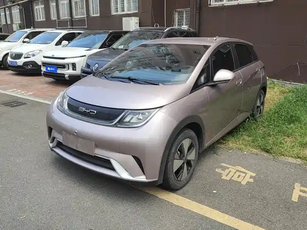 BYD Dolphin 2023