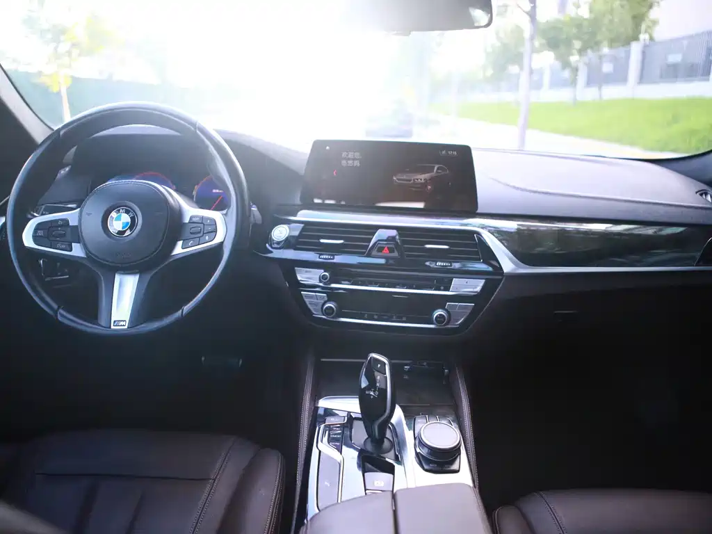 BMW 5 Series 2019 — фото 9