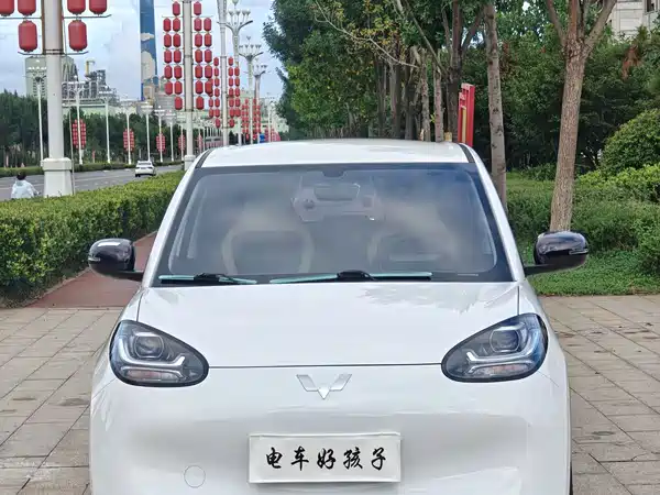 Wuling Bingo 2024
