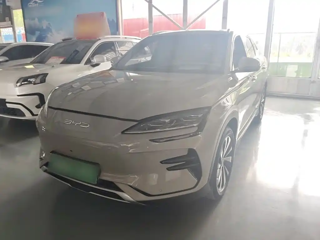 BYD Song PLUS New Energy 2024 — фото 1