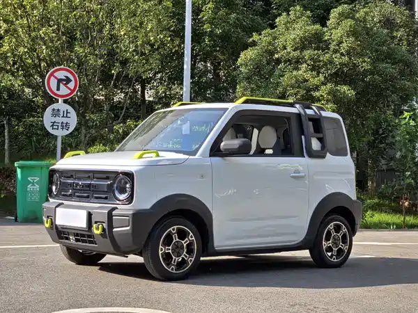 Geely Galaxy Panda 2024