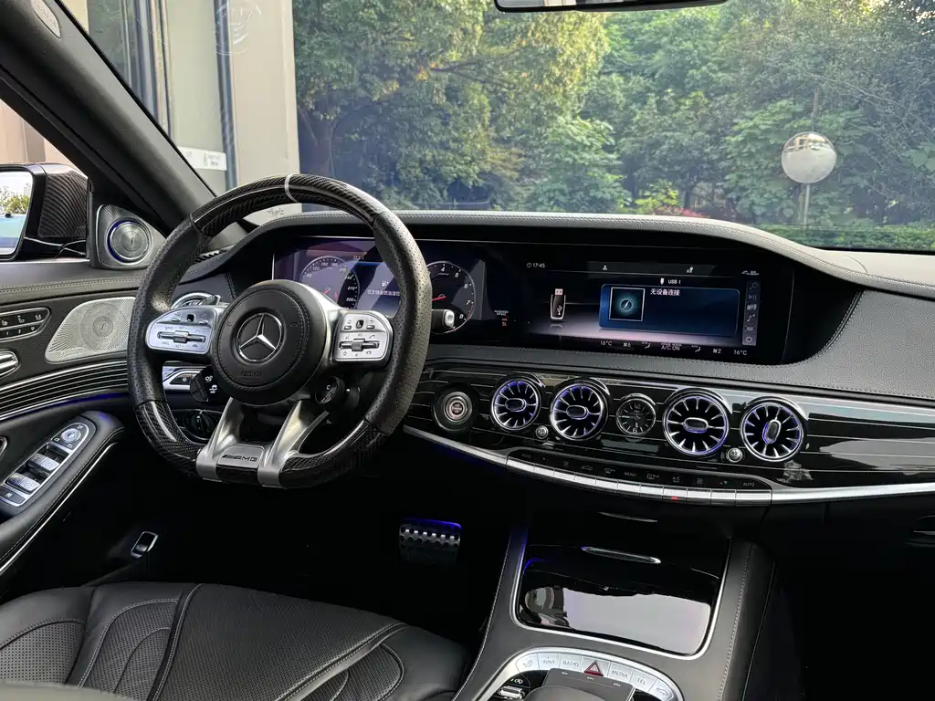 Mercedes-Benz S-Class AMG 2018 — фото 27