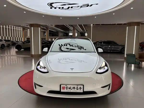 Tesla Model Y 2022