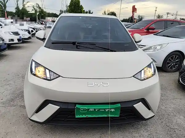 BYD Seagull 2025