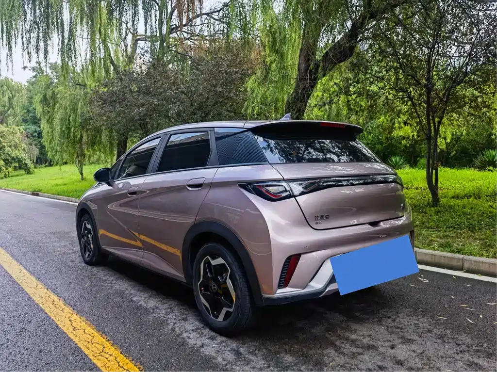 BYD Dolphin 2022