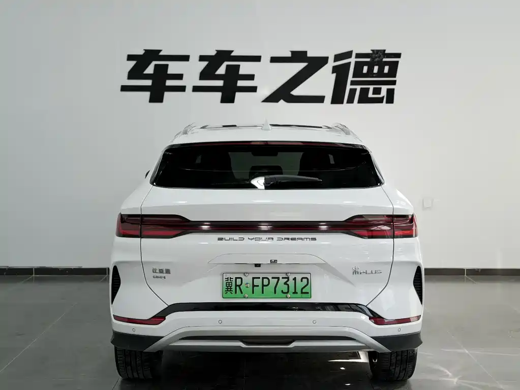 BYD PLUS New Energy 2024 — фото 19