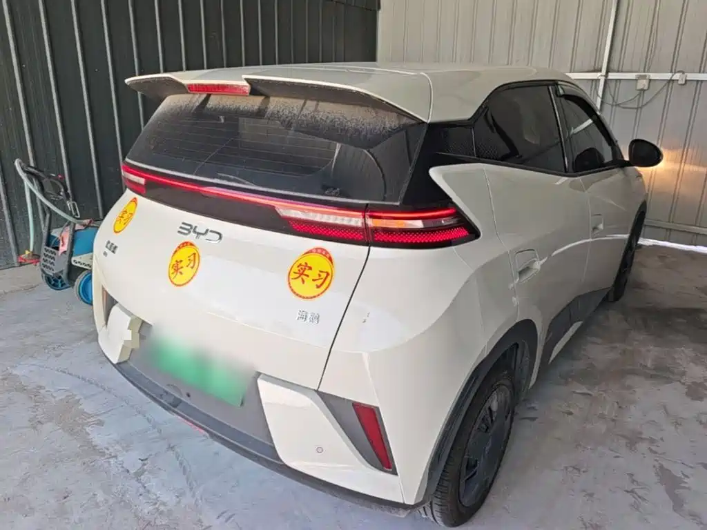BYD Seagull 2025