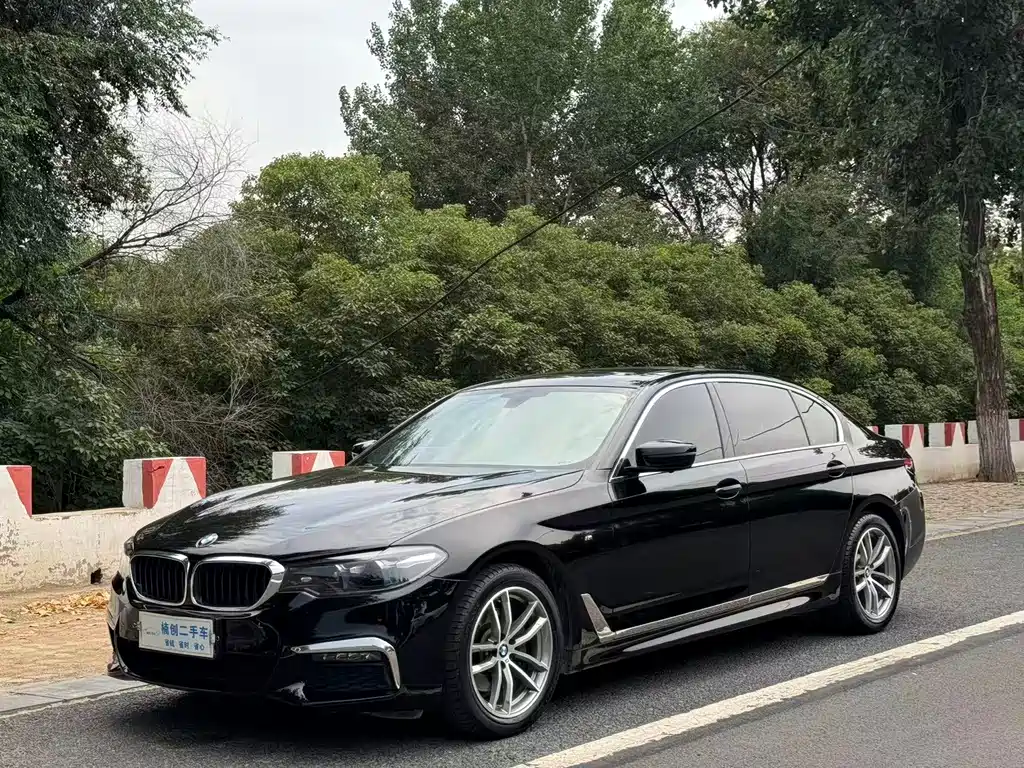 BMW 5 Series 2019