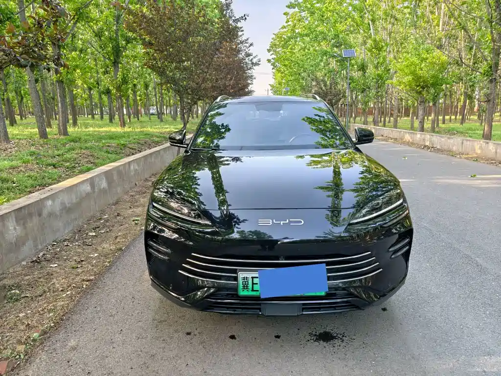 BYD PLUS New Energy 2024 — фото 2