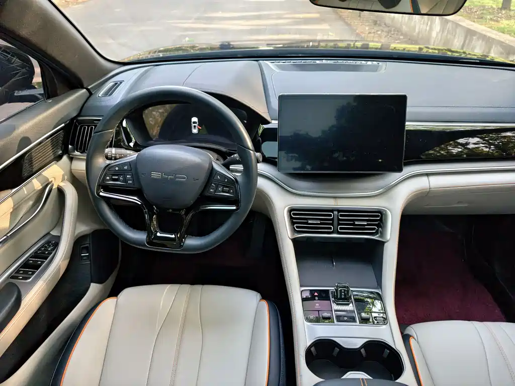 BYD PLUS New Energy 2024 — фото 10