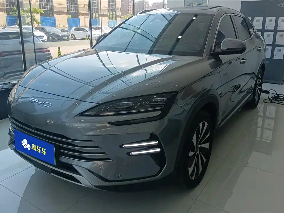 BYD PLUS New Energy 2024 — фото 1