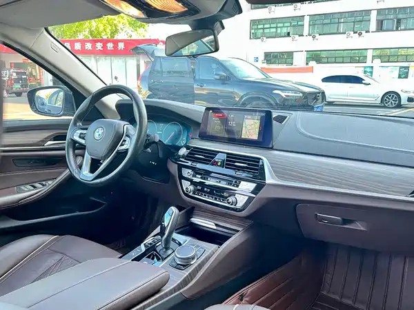 BMW 5 Series New Energy 2019