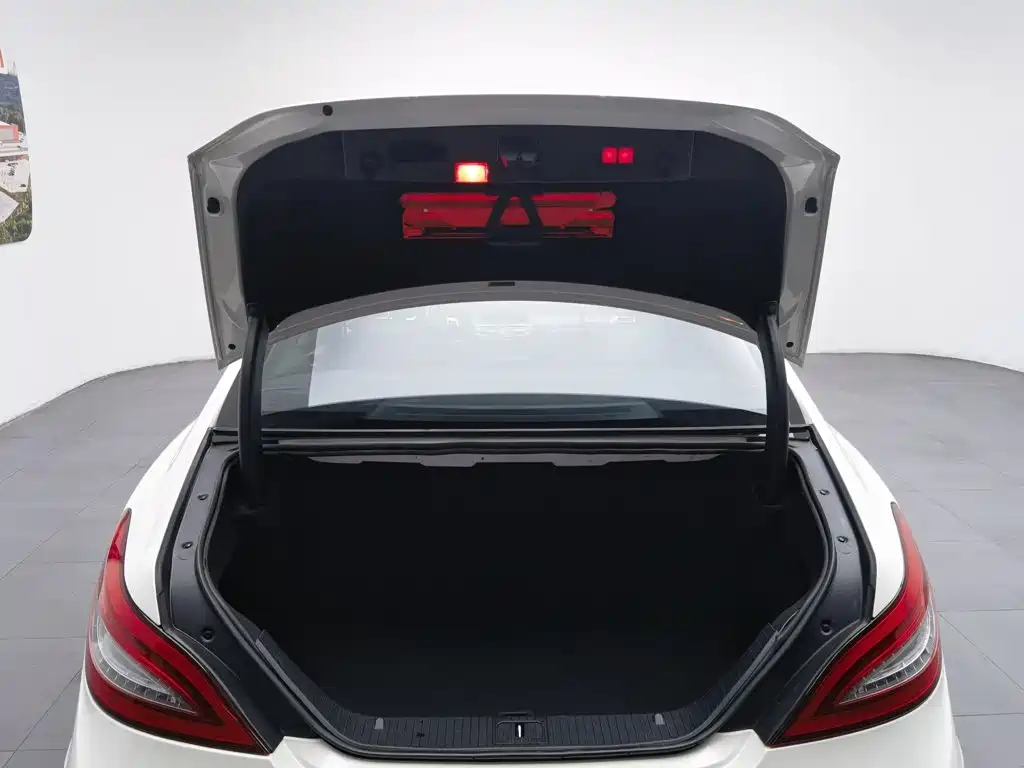 Mercedes-Benz CLS 2015 — фото 16