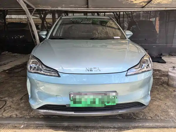 Neta V 2021