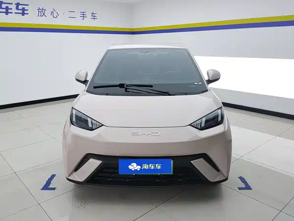 BYD Seagull 2024
