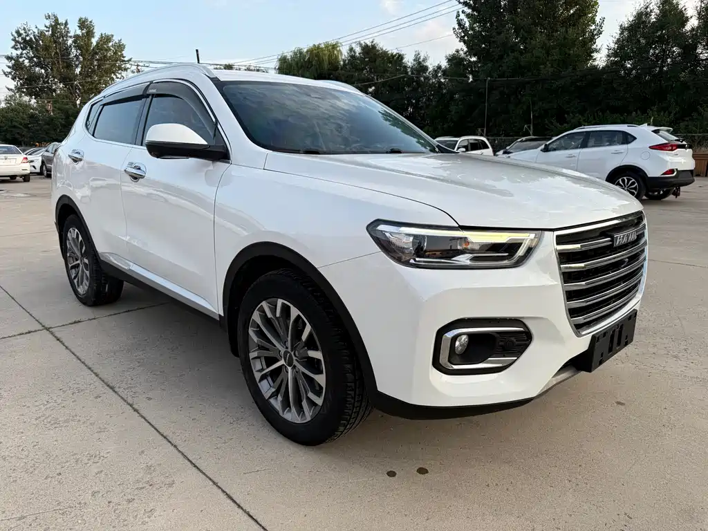 Haval H6 2020