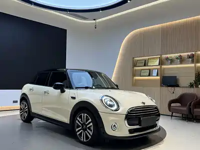 MINI MINI 2020