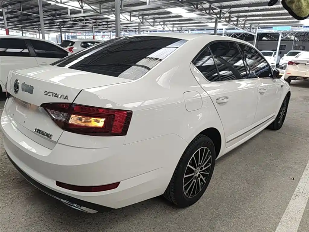 Skoda Octavia 2019 — фото 7