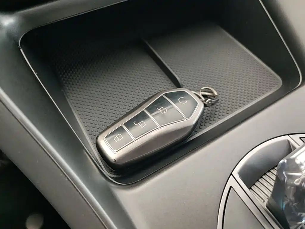 BYD Sealion 05 DM-i 2025 — фото 9