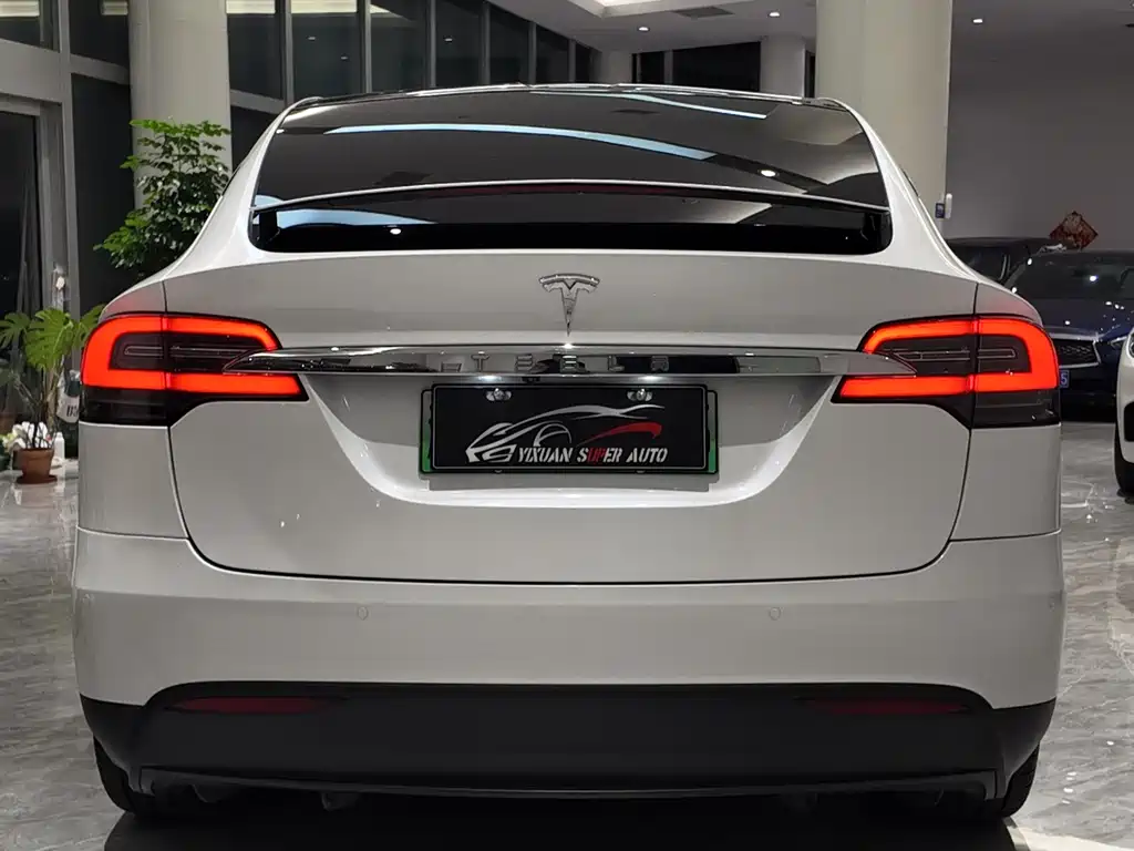 Tesla Model X 2020 — фото 10
