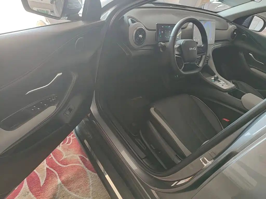 BYD Sealion 05 DM-i 2025 — фото 16