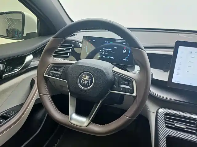 BYD Qin PLUS 2024 — фото 13