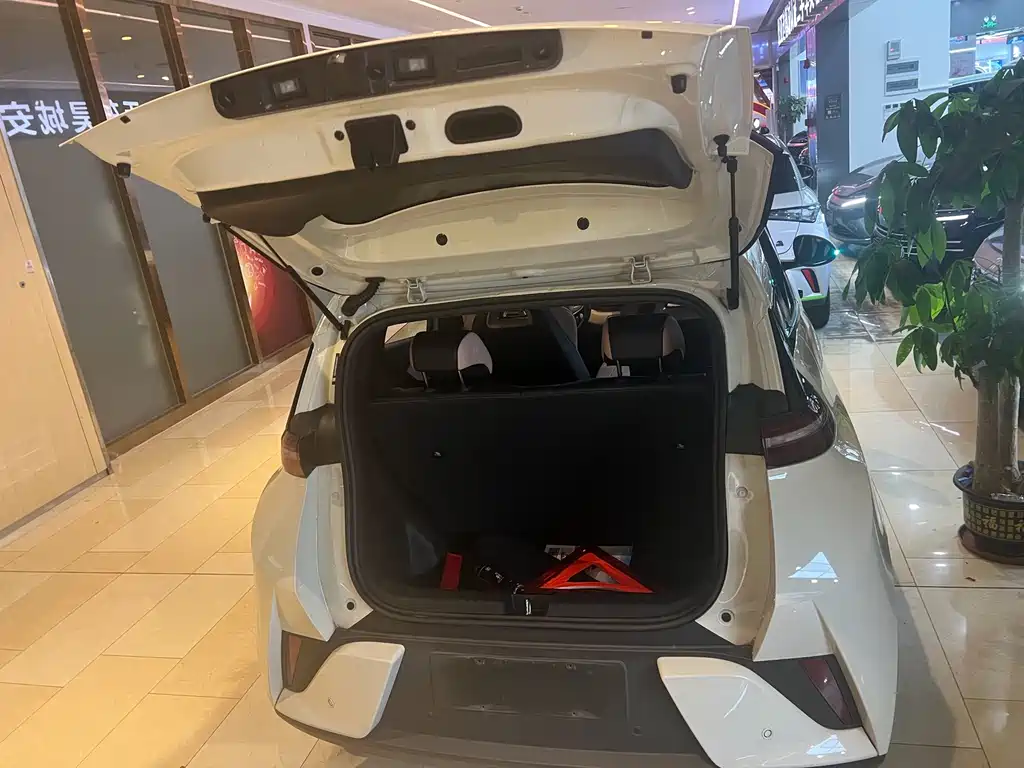 BYD Seagull 2025