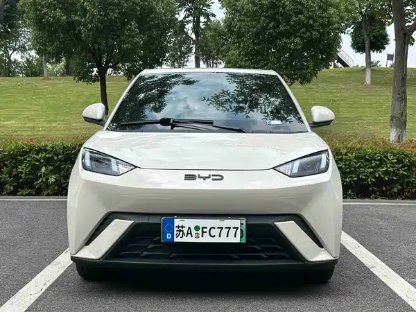 BYD Seagull 2024
