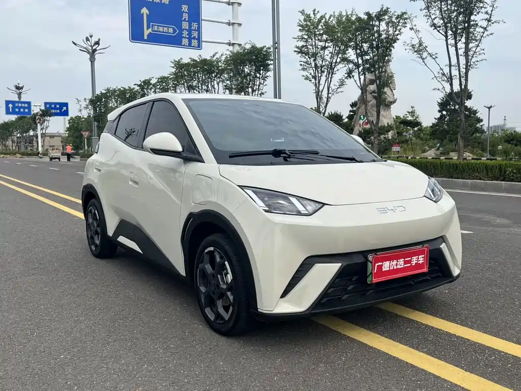 BYD Seagull 2024 — фото 12