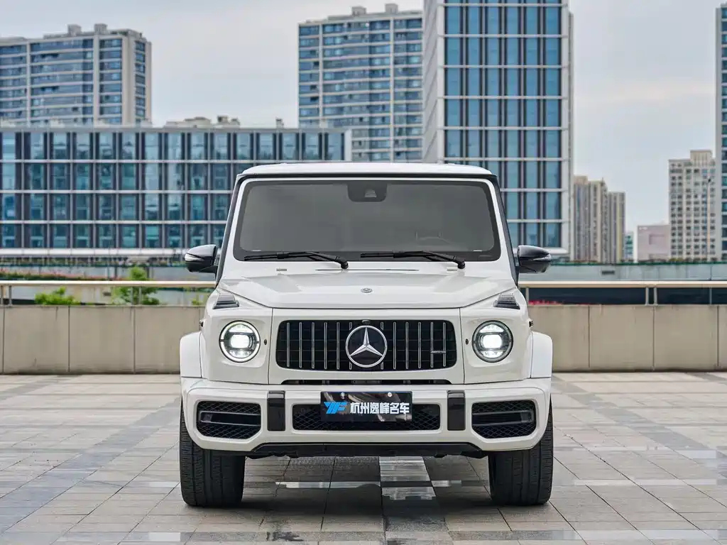 Mercedes-Benz G-Class 2019 — фото 2