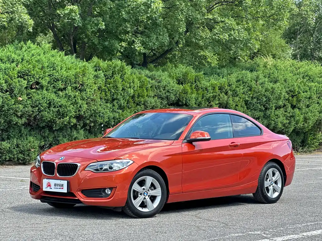 BMW 2 Series 2015