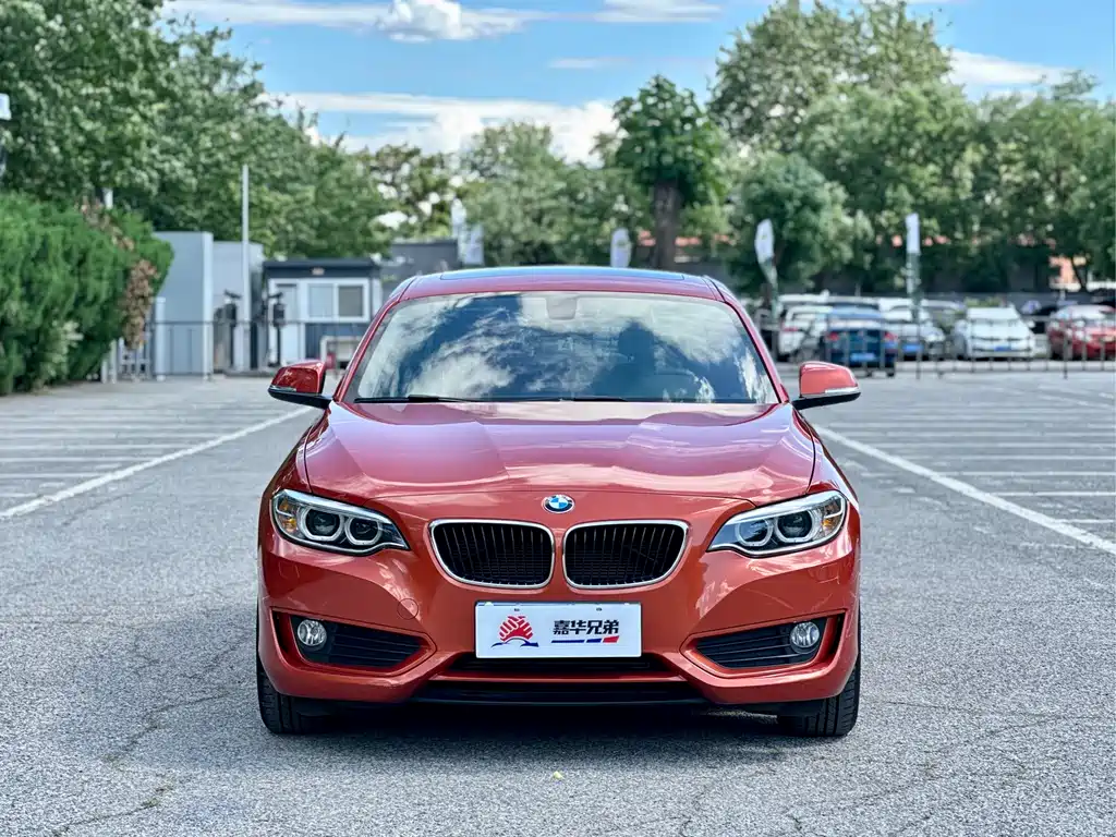 BMW 2 Series 2015 — фото 4