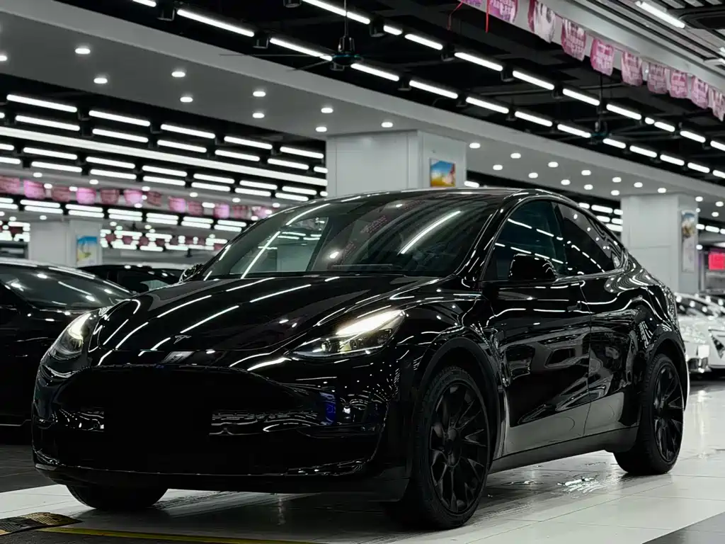 Tesla Model Y 2023 — фото 1