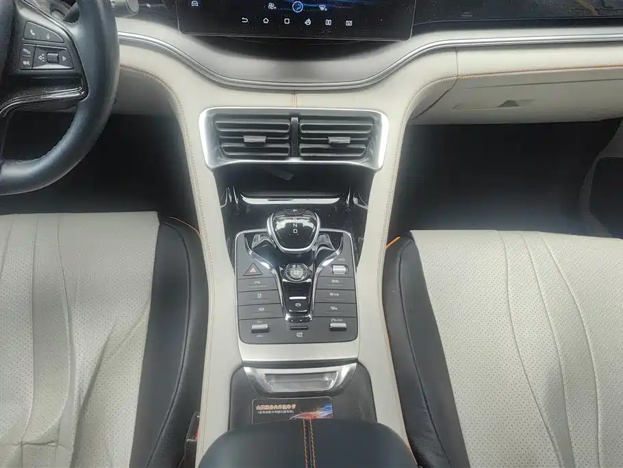 BYD PLUS New Energy 2023 — фото 16