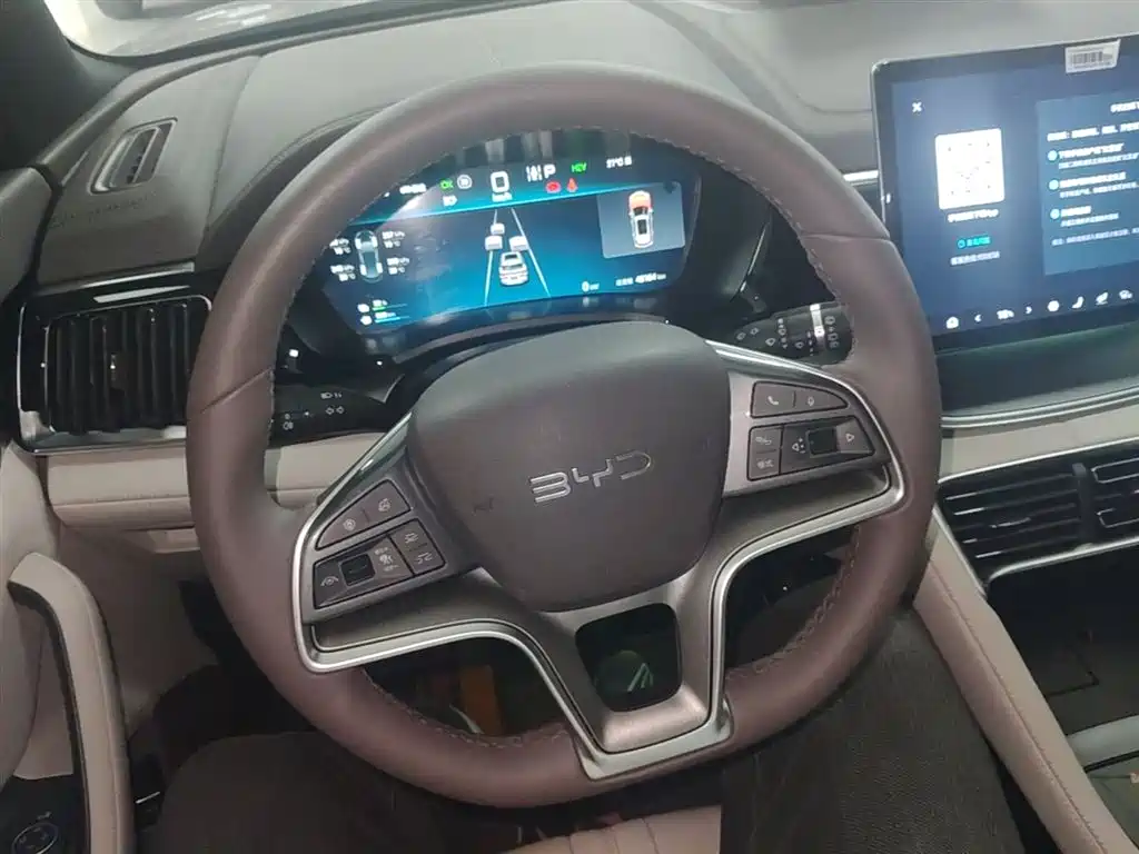 BYD PLUS New Energy 2024 — фото 11