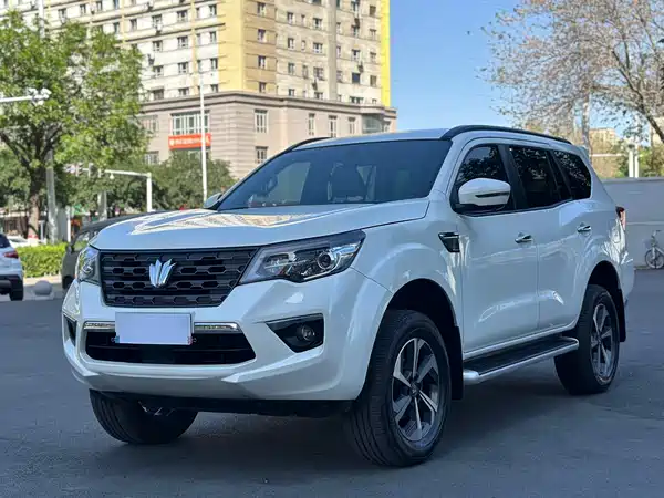 Dongfeng Paladin 2024