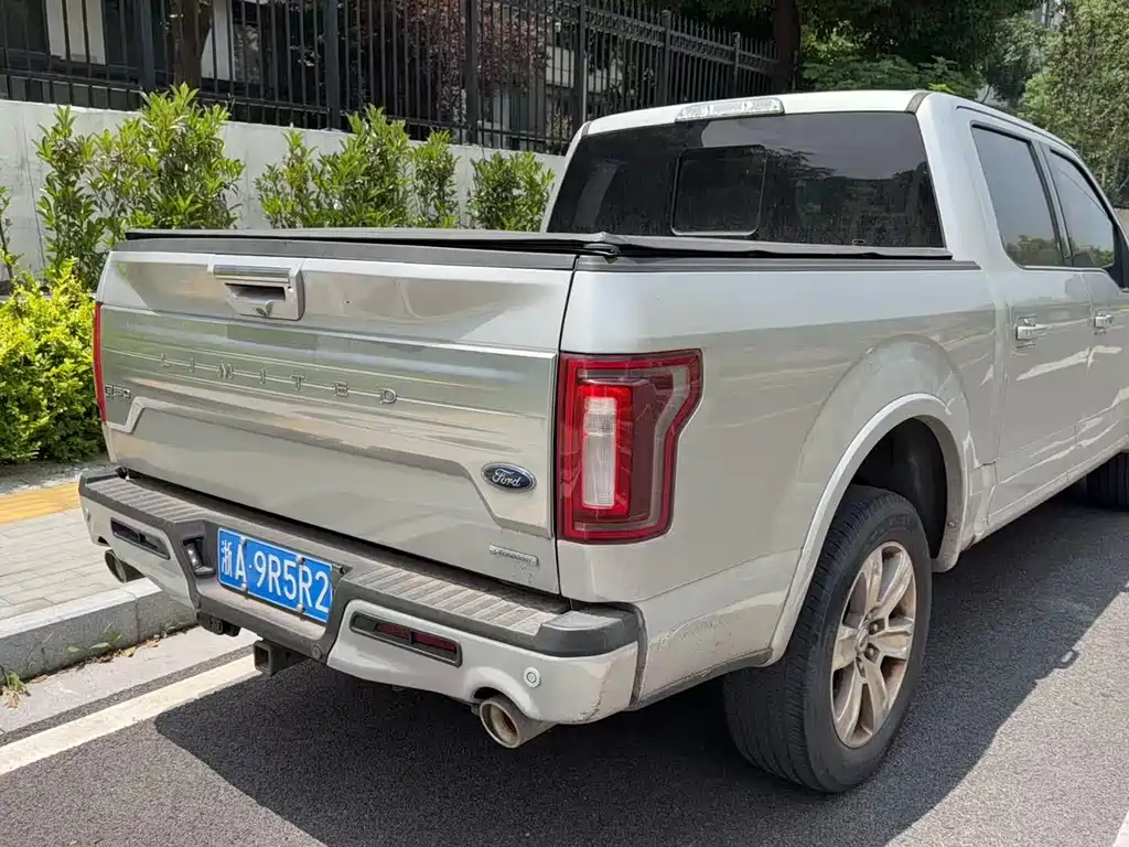 Ford F-150 Raptor 2020 — фото 7