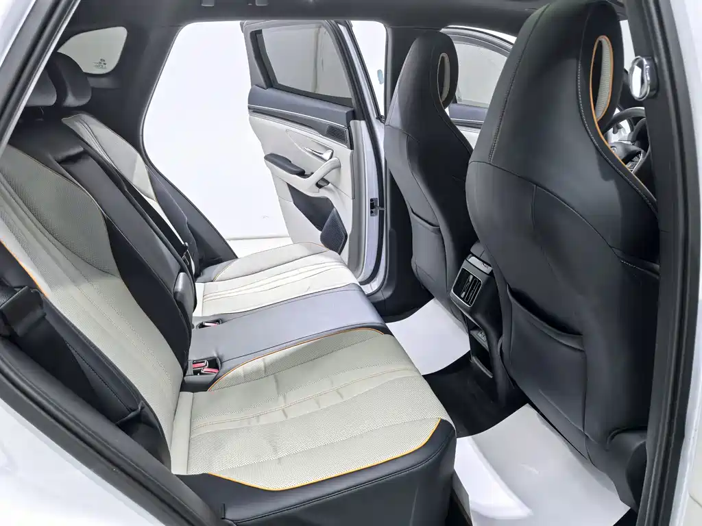 BYD Song PLUS New Energy 2023 — фото 16