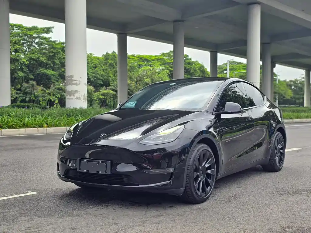 Tesla Model Y 2021